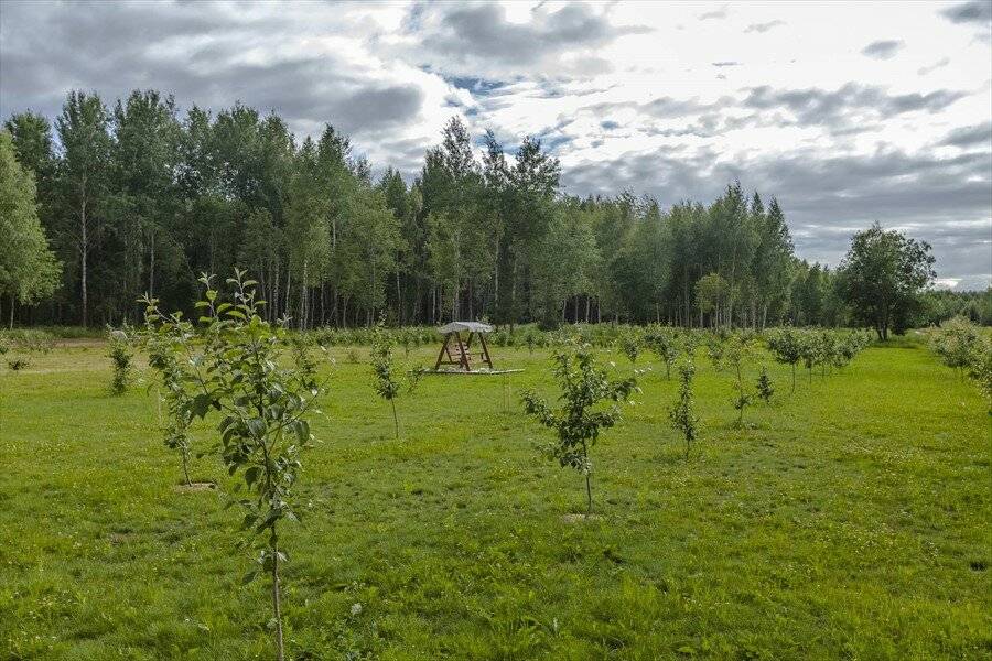 Фото Гостевого дома Усадьба Родное Ересино 160