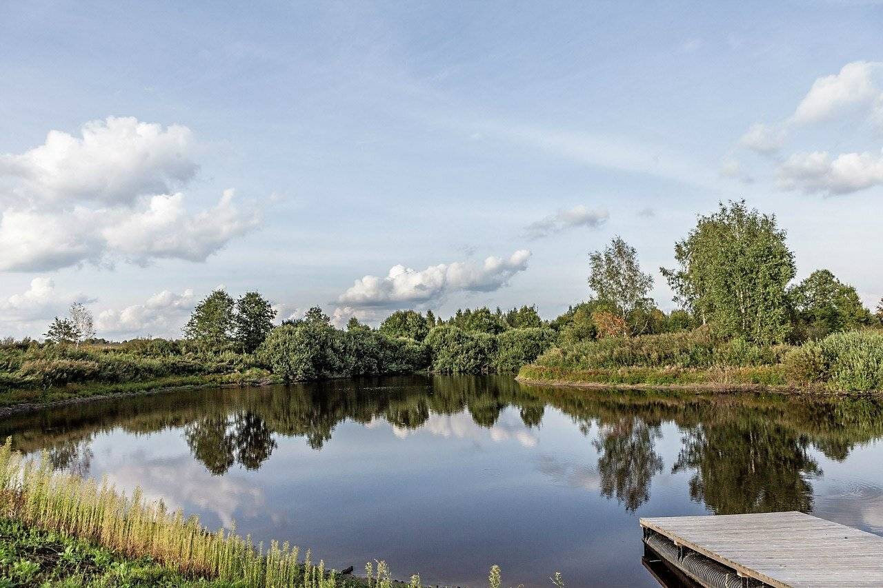 Фото Гостевого дома Усадьба Родное Ересино 167