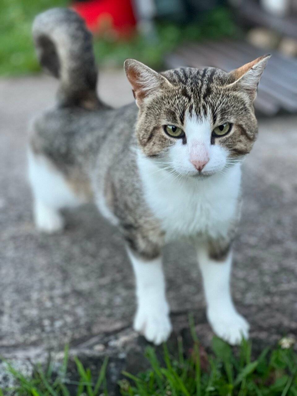 Фото Гостевого дома Усадьба Родное Ересино 61