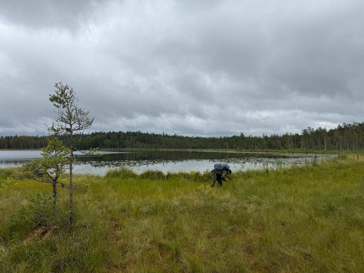 Фото Гостевого дома Усадьба Родное Ересино 188