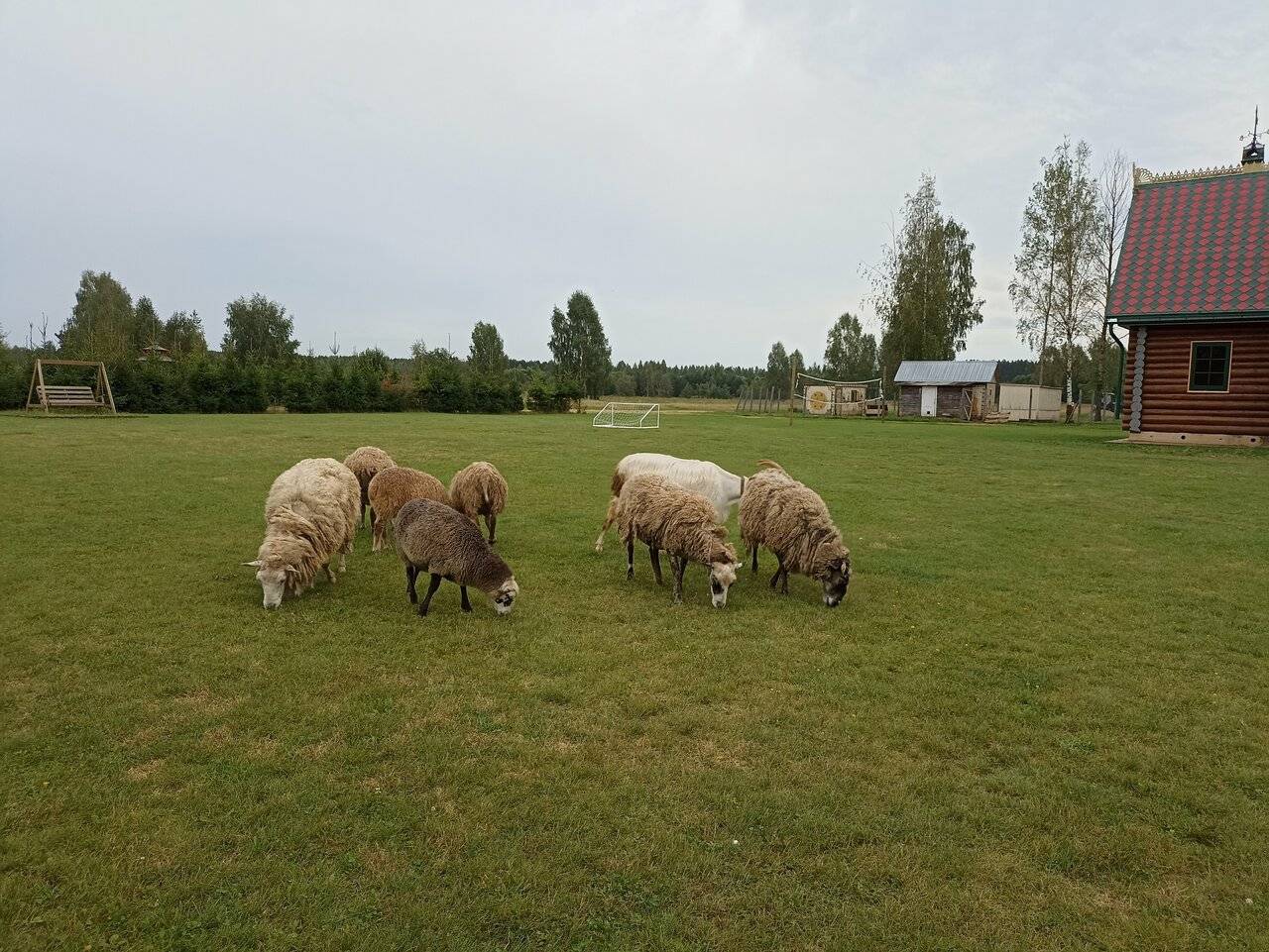 Фото Гостевого дома Усадьба Родное Ересино 66