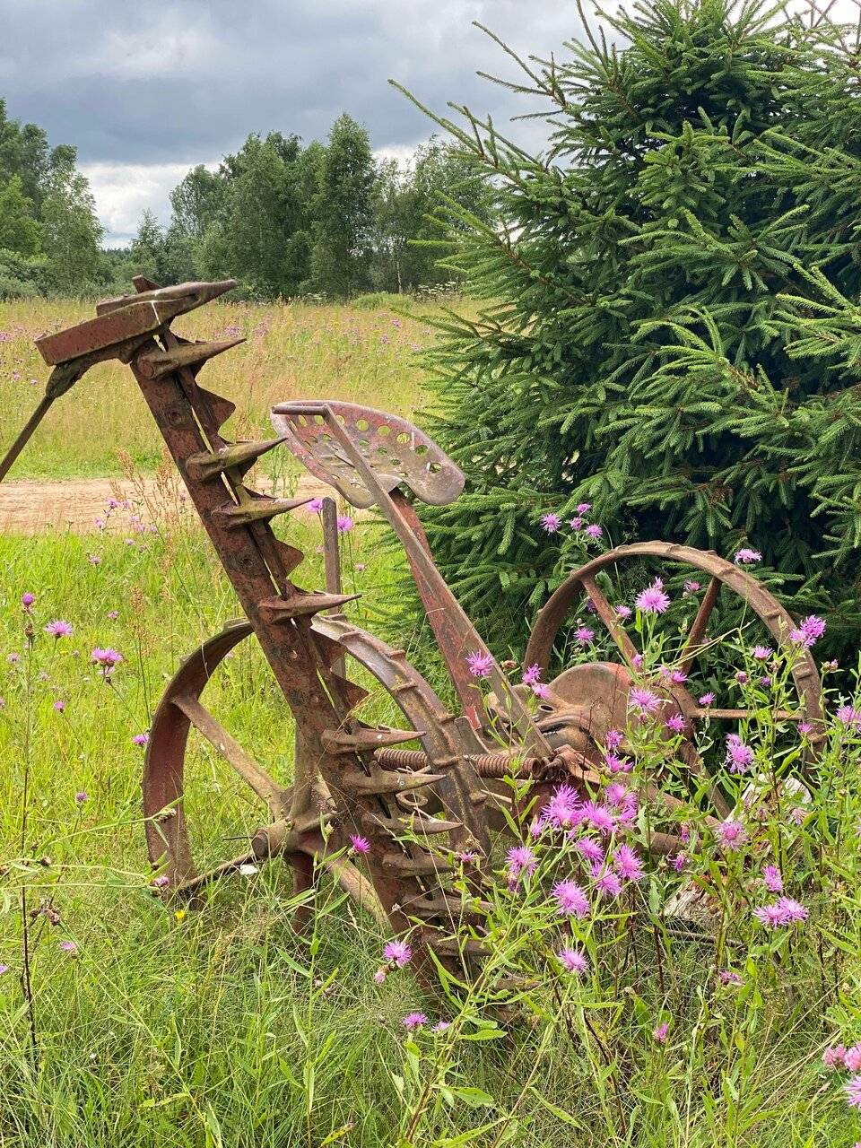 Фото Гостевого дома Усадьба Родное Ересино 86