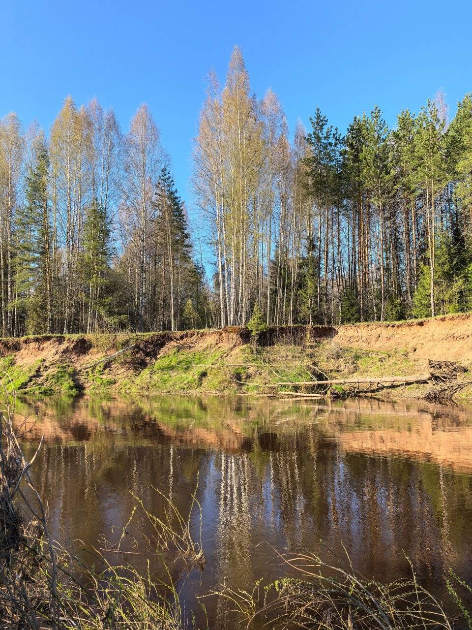 Фото Гостевого дома Усадьба Родное Ересино 172