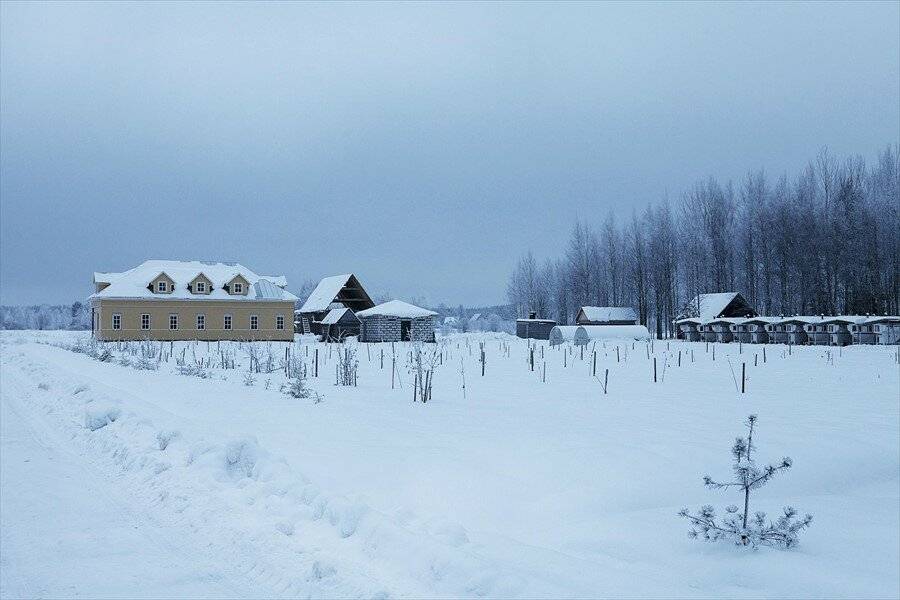 Фото Гостевого дома Усадьба Родное Ересино 136