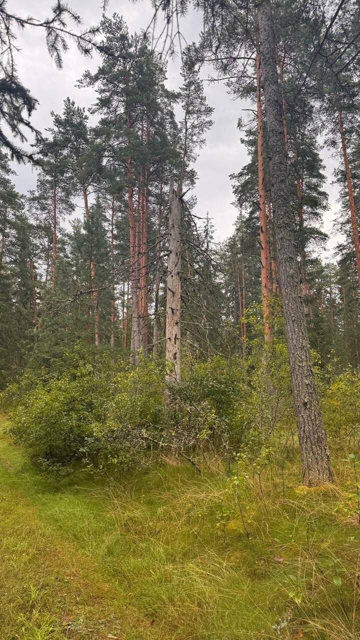 Фото Гостевого дома Усадьба Родное Ересино 190