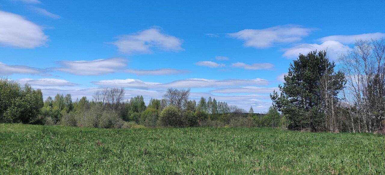 Фото Гостевого дома Усадьба Родное Ересино 151