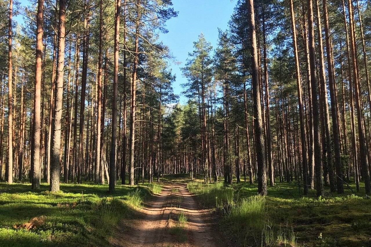 Фото Гостевого дома Усадьба Родное Ересино 170