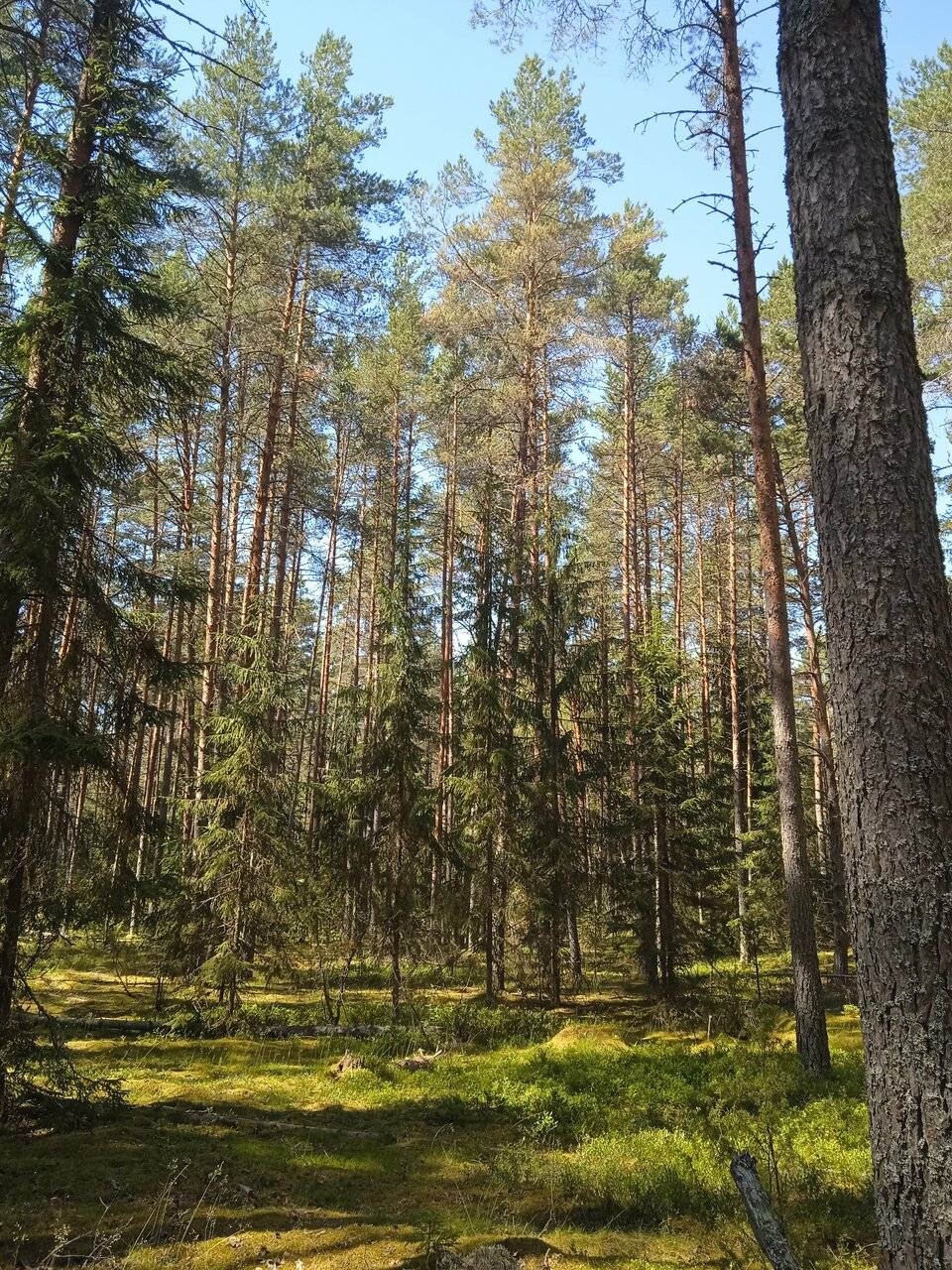 Фото Гостевого дома Усадьба Родное Ересино 147