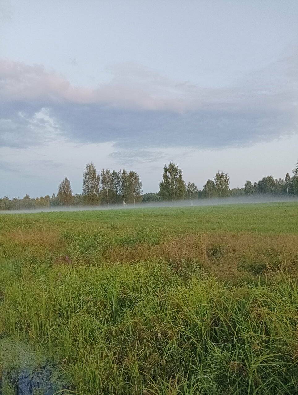 Фото Гостевого дома Усадьба Родное Ересино 155