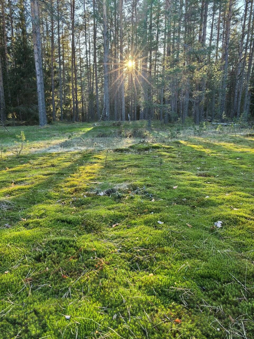 Фото Гостевого дома Усадьба Родное Ересино 171