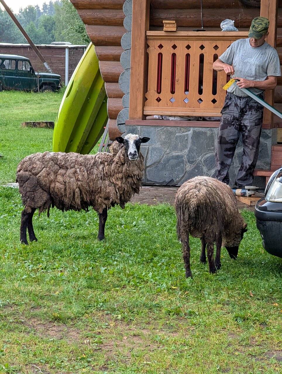 Фото Гостевого дома Усадьба Родное Ересино 68