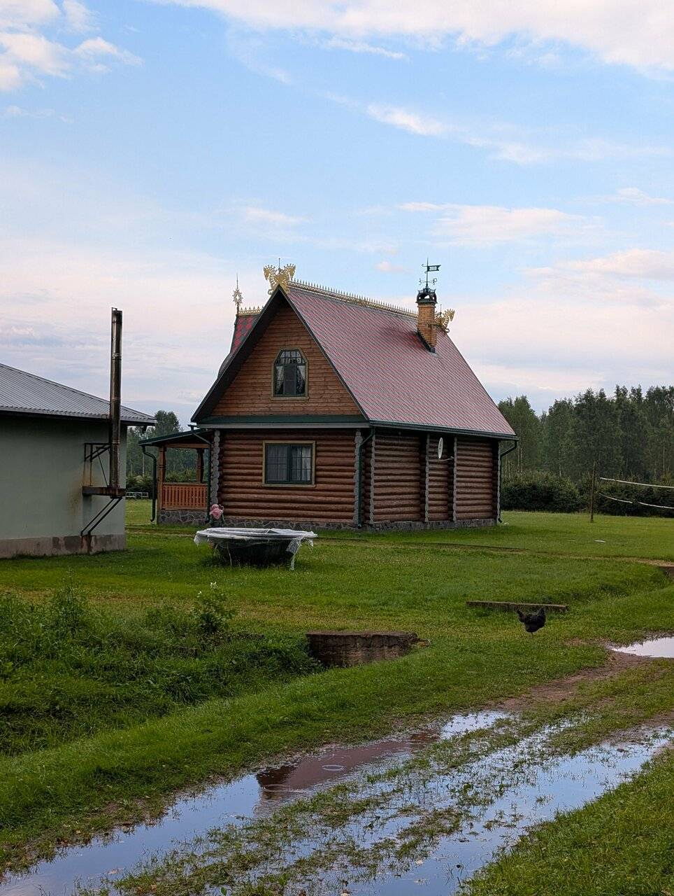 Фото Гостевого дома Усадьба Родное Ересино 95