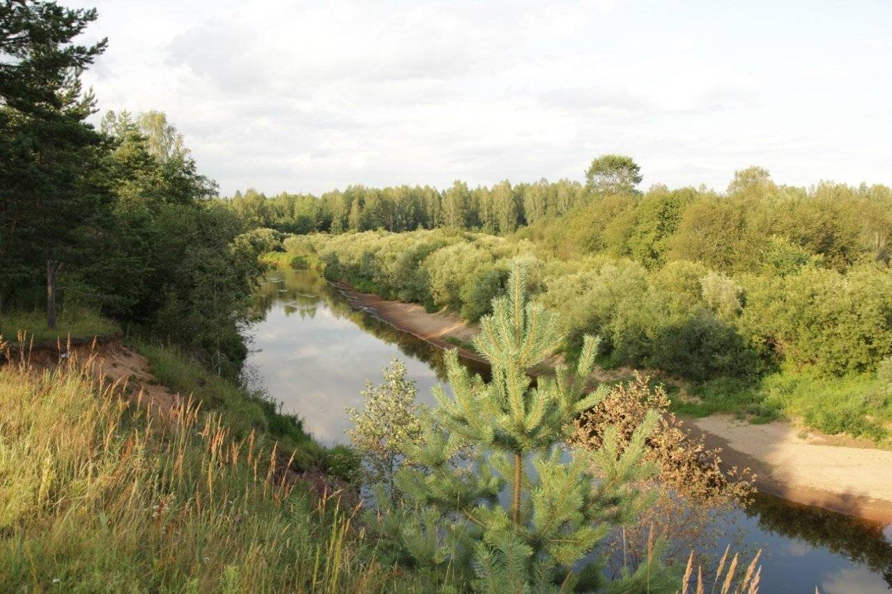 Фото Гостевого дома Усадьба Родное Ересино 158