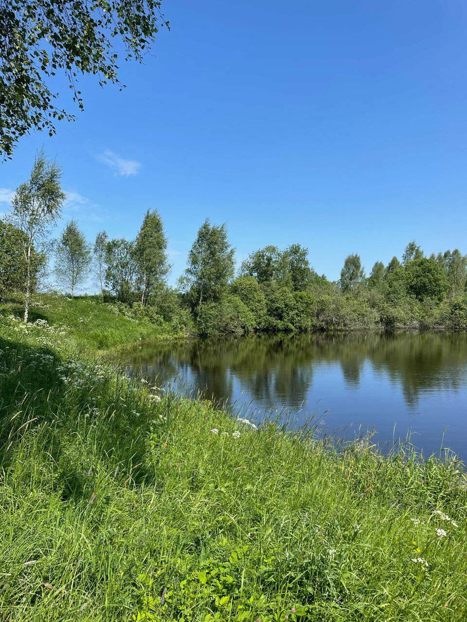 Фото Гостевого дома Усадьба Родное Ересино 175