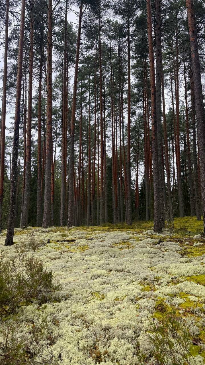 Фото Гостевого дома Усадьба Родное Ересино 187