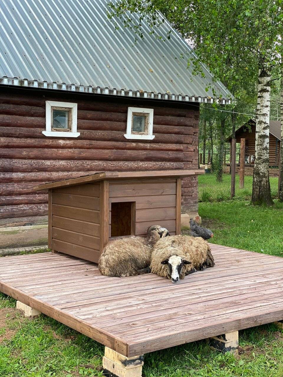 Фото Гостевого дома Усадьба Родное Ересино 67