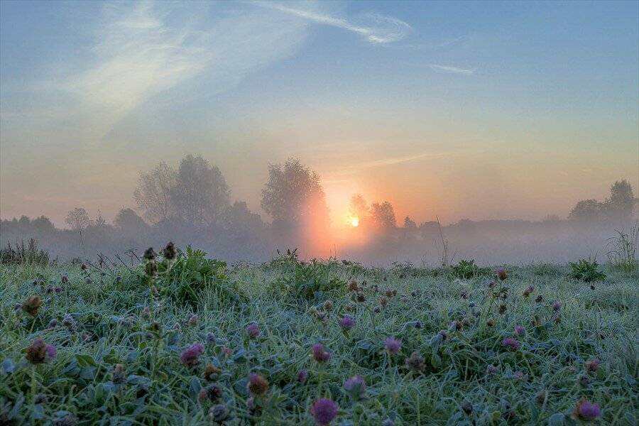 Фото Гостевого дома Усадьба Родное Ересино 162