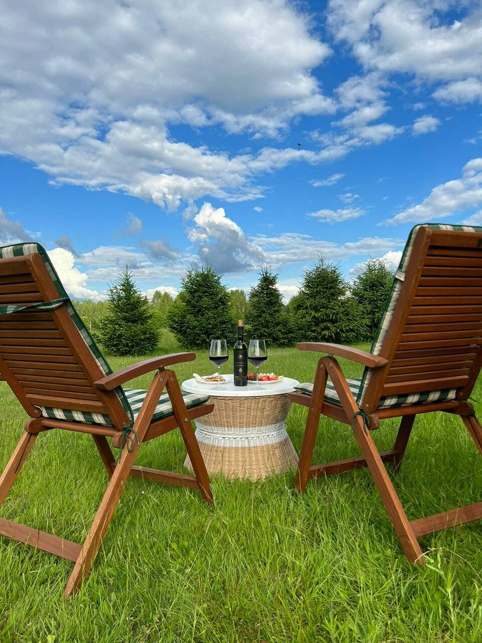 Фото Гостевого дома Усадьба Родное Ересино 81