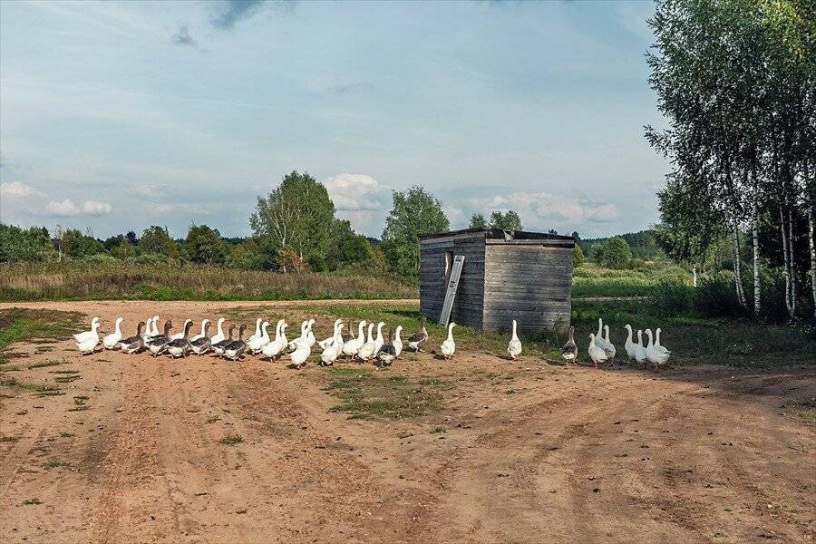 Фото Гостевого дома Усадьба Родное Ересино 69